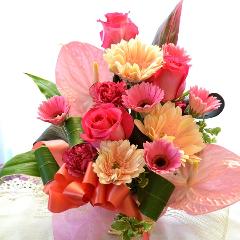��l�̃A�����W�����g�@DollAction�@�i�o���ƃK�[�x���̃t�����[�A�����W�����g�j�s���N�n�@�a�����A�����L�O���A���j��