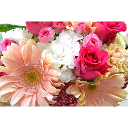 ��l�̃A�����W�@MagicPink�@�i�o���ƃK�[�x���̃t�����[�A�����W�����g�j�s���N�n�@�a�����A�����L�O���A���j���A�h�V�̓�5