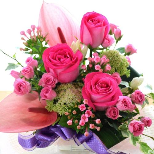 ��l�̃A�����W�����g�@RosePark�@�i�o���̃t�����[�A�����W�����g�j�s���N�n�@�a�����A�����L�O���A���j���A�h�V�̓�