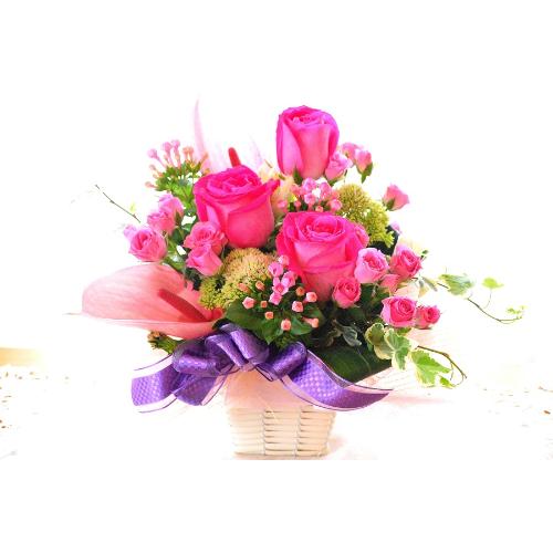��l�̃A�����W�����g�@RosePark�@�i�o���̃t�����[�A�����W�����g�j�s���N�n�@�a�����A�����L�O���A���j���A�h�V�̓�3