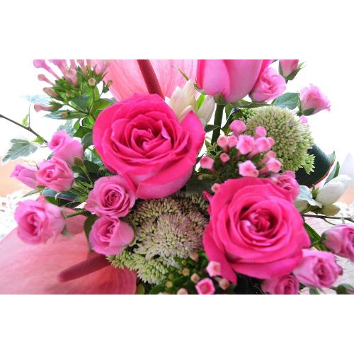 ��l�̃A�����W�����g�@RosePark�@�i�o���̃t�����[�A�����W�����g�j�s���N�n�@�a�����A�����L�O���A���j���A�h�V�̓�5