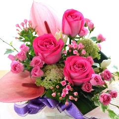 ��l�̃A�����W�����g�@RosePark�@�i�o���̃t�����[�A�����W�����g�j�s���N�n�@�a�����A�����L�O���A���j���A�h�V�̓�