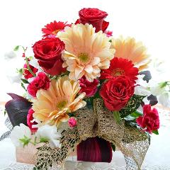 ��l�̃A�����W�@RedPeach�@�i�o���̃t�����[�A�����W�����g�j�Ԍn�@�a�����A�����L�O���A���j���A�h�V�̓�