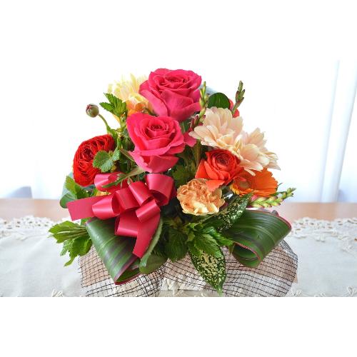 �v�`�ґ�ȃA�����W�@GirlsCollection�@(�o���ƃK�[�x���̃t�����[�A�����W�����g�j�s���N�n�@���a�����A�����L�O���A���j���A�h�V�̓�3