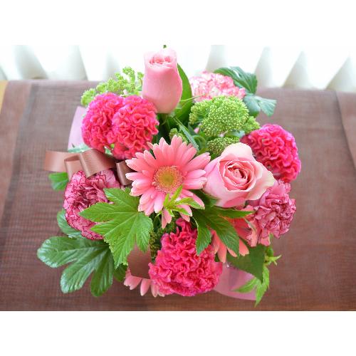 �v�`�ґ�ȃA�����W�@PinkViola�@(�o���ƃK�[�x���̃t�����[�A�����W�����g�j�@�s���N�n�@�a�����A�����L�O���A���j���A���\��A�R���T�[�g�A���C�u5