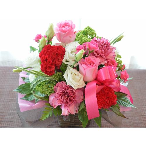 �v�`�ґ�ȃA�����W�@PinkEnergy�@(�o���̃t�����[�A�����W�����g�j�s���N�n�@�a�����A�����L�O���A���j���A�h�V�̓�2
