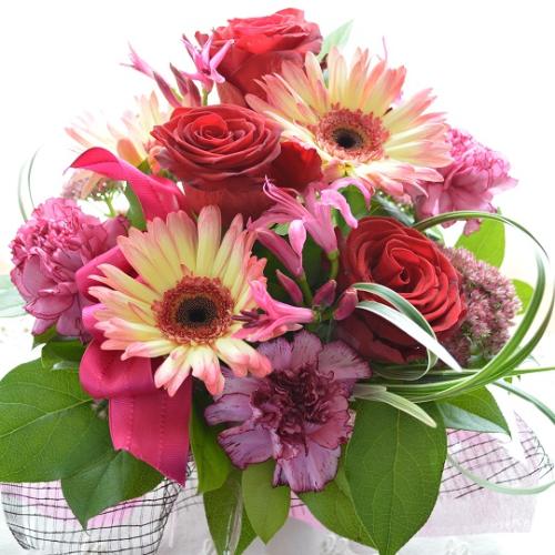 �v�`�ґ�ȃA�����W�����g�@AngelVoice�@(�o���ƃK�[�x���̃t�����[�A�����W�����g�j�Ԍn�@�a�����A�����L�O���A���j��