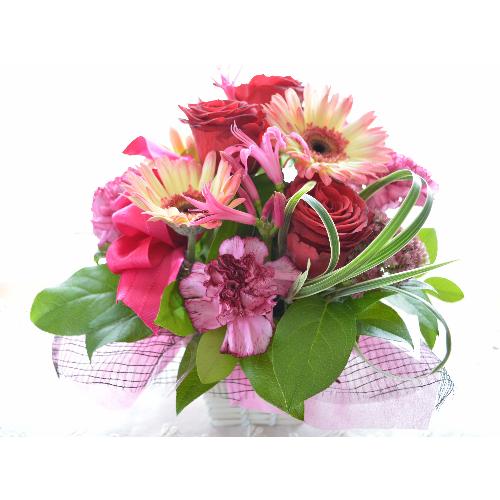 �v�`�ґ�ȃA�����W�����g�@AngelVoice�@(�o���ƃK�[�x���̃t�����[�A�����W�����g�j�Ԍn�@�a�����A�����L�O���A���j��3