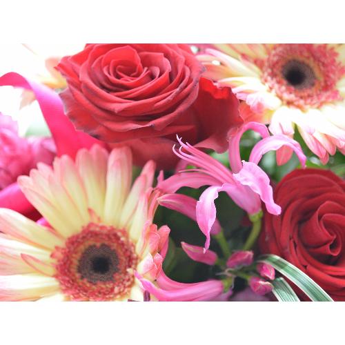 �v�`�ґ�ȃA�����W�����g�@AngelVoice�@(�o���ƃK�[�x���̃t�����[�A�����W�����g�j�Ԍn�@�a�����A�����L�O���A���j��5