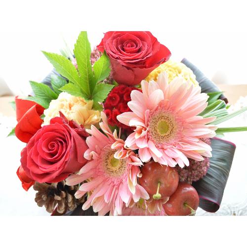 �v�`�ґ�ȃA�����W�������g�@DanceShoes3