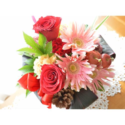 �v�`�ґ�ȃA�����W�������g�@DanceShoes4