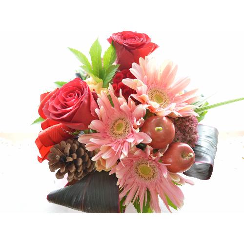 �v�`�ґ�ȃA�����W�������g�@DanceShoes5