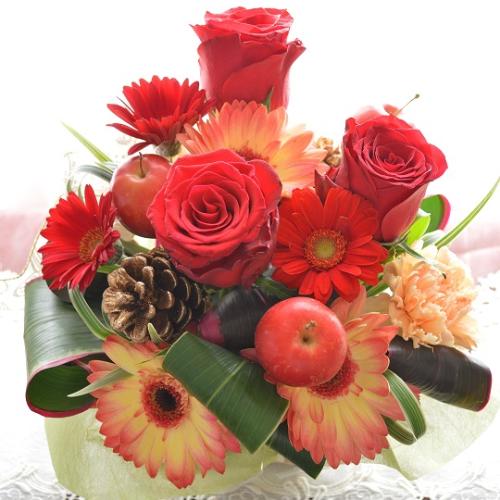 �v�`�ґ�ȃA�����W�����g�@DearRed�@�i�o���ƃK�[�x���̃t�����[�A�����W�������g�j�Ԍn�@�a�����A�����L�O���A���j��