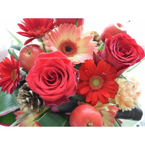 �v�`�ґ�ȃA�����W�����g�@DearRed�@�i�o���ƃK�[�x���̃t�����[�A�����W�������g�j�Ԍn�@�a�����A�����L�O���A���j��4