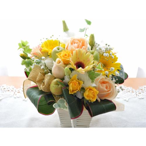 �L���[�g�ȃA�����W�@FeatherYellow�@�i�K�[�x���̃t�����[�A�����W�����g�j�C�G���[�I�����W�n�@�a�����A�����L�O���A���j��2