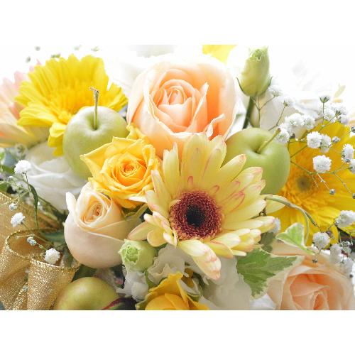 �L���[�g�ȃA�����W�@FeatherYellow�@�i�K�[�x���̃t�����[�A�����W�����g�j�C�G���[�I�����W�n�@�a�����A�����L�O���A���j��5