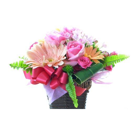 �L���[�g�ȃA�����W�����g�@�o������Select�@�i�o���ƃK�[�x���̃t�����[�A�����W�����g�j�s���N�n�@���a�����A�����L�O���A���j���A�h�V�̓�3