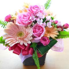 �L���[�g�ȃA�����W�����g�@�o������Select�@�i�o���ƃK�[�x���̃t�����[�A�����W�����g�j�s���N�n�@���a�����A�����L�O���A���j���A�h�V�̓�
