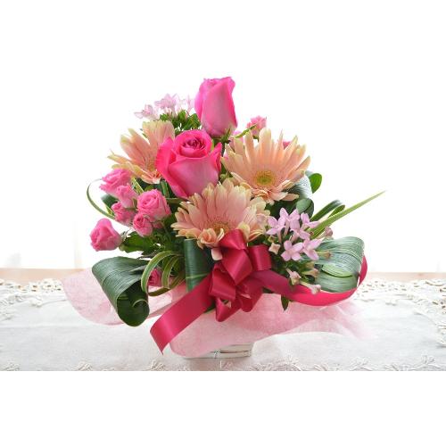 �L���[�g�ȃA�����W�����g�@PinkSun�@�i�o���ƃK�[�x���̃t�����[�A�����W�����g�j�s���N�n�@���a�����A���������A���j���A�h�V�̓�3