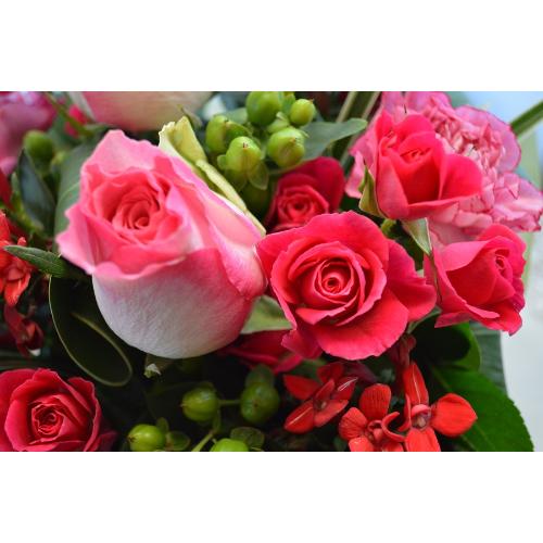 �L���[�g�ȃA�����W�@Pink�@Boss�@�i�o���̃t�����[�A�����W�����g�j�s���N�n�@�a�����@�����L�O���A���j���A�h�V�̓�5