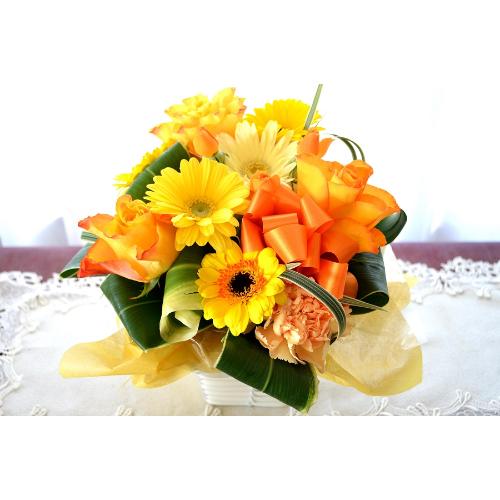 �L���[�g�ȃA�����W�@Orange�@Tart�@�i�o���ƃK�[�x���̃t�����[�A�����W�����g�j���F�I�����W�n�@���a�����A�����L�O���A���j���A�h�V�̓�2