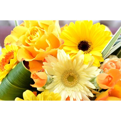 �L���[�g�ȃA�����W�@Orange�@Tart�@�i�o���ƃK�[�x���̃t�����[�A�����W�����g�j���F�I�����W�n�@���a�����A�����L�O���A���j���A�h�V�̓�5