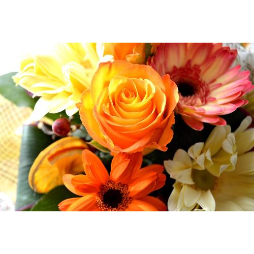 �L���[�g�ȃA�����W�@OrangeCake5