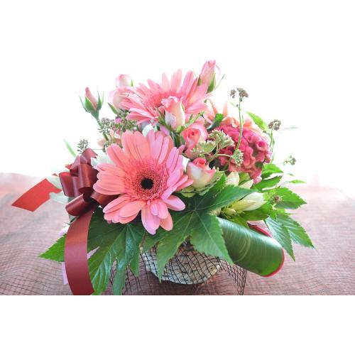 �L���[�g�ȃA�����W �@PinkMelody�@(�o���ƃK�[�x���̃t�����[�A�����W�����g�j�@�s���N�n�@�a�����A�����L�O���A���j���A���\��A�R���T�[�g�A���C�u2
