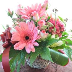 �L���[�g�ȃA�����W �@PinkMelody�@(�o���ƃK�[�x���̃t�����[�A�����W�����g�j�@�s���N�n�@�a�����A�����L�O���A���j���A���\��A�R���T�[�g�A���C�u