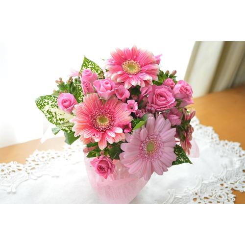 �L���[�g�ȃA�����W�����g�@PinkSurprise�@(�K�[�x���̃t�����[�A�����W�����g�j�s���N�n �a�����A�����L�O���A���j���A�h�V�̓�3
