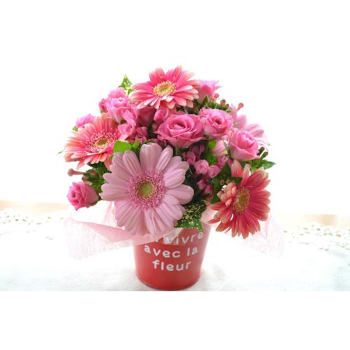�L���[�g�ȃA�����W�����g�@PinkSurprise�@(�K�[�x���̃t�����[�A�����W�����g�j�s���N�n �a�����A�����L�O���A���j���A�h�V�̓�4