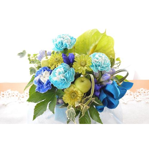 �L���[�g�ȃA�����W�@GreenBlue�@�i�J�[�l�[�V�����̃t�����[�A�����W�����g�j�u���[�n�@�a�����A�����L�O���A���j���A���\��A�R���T�[�g�A���C�u2