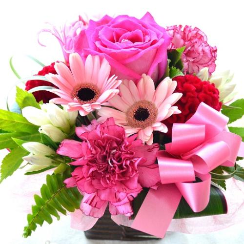 �L���[�g�ȃA�����W�@DancerPink�i�o���̃t�����[�A�����W�����g�j�s���N�n�@�a�����A�����L�O���A���j���A�h�V�̓�