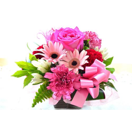 �L���[�g�ȃA�����W�@DancerPink�i�o���̃t�����[�A�����W�����g�j�s���N�n�@�a�����A�����L�O���A���j���A�h�V�̓�2