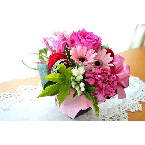 �L���[�g�ȃA�����W�@DancerPink�i�o���̃t�����[�A�����W�����g�j�s���N�n�@�a�����A�����L�O���A���j���A�h�V�̓�3