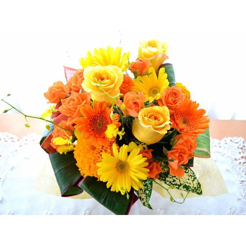 �v�`�ґ�ȃA�����W�@HighOrange�@�i�o���ƃK�[�x���̃t�����[�A�����W�����g�j�I�����W�n�@�a�����A�����L�O���A���j���A�h�V�̓�4