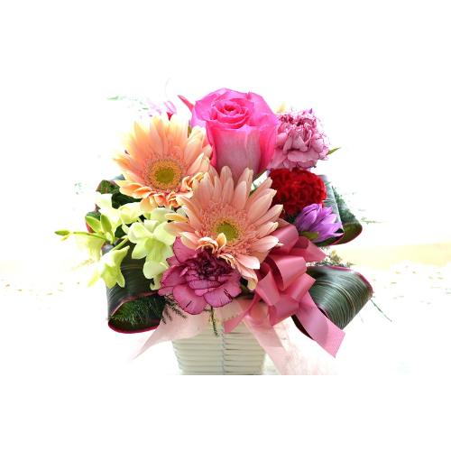 �L���[�g�ȃA�����W�@PinkSky�@�i�o���ƃK�[�x���̃t�����[�A�����W�����g�j�s���N�n�@�a�����A�����L�O���A���j���A�h�V�̓�5