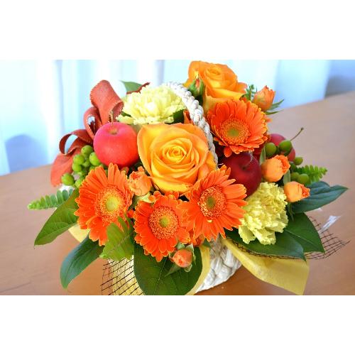 �L���[�g�ȃA�����W�@OrangeBasket�@(�o���ƃK�[�x���̃t�����[�A�����W�����g�j�@�I�����W�n�@�a�����A�����L�O���A���j���A���\��A�R���T�[�g�A���C�u2