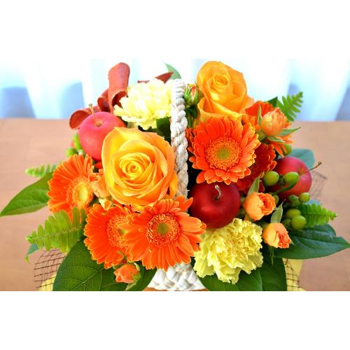 �L���[�g�ȃA�����W�@OrangeBasket�@(�o���ƃK�[�x���̃t�����[�A�����W�����g�j�@�I�����W�n�@�a�����A�����L�O���A���j���A���\��A�R���T�[�g�A���C�u4