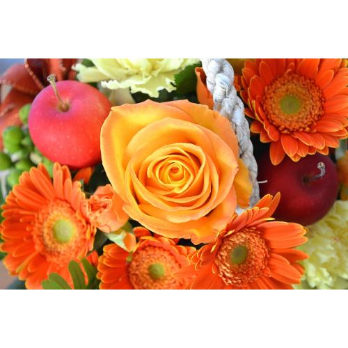 �L���[�g�ȃA�����W�@OrangeBasket�@(�o���ƃK�[�x���̃t�����[�A�����W�����g�j�@�I�����W�n�@�a�����A�����L�O���A���j���A���\��A�R���T�[�g�A���C�u5