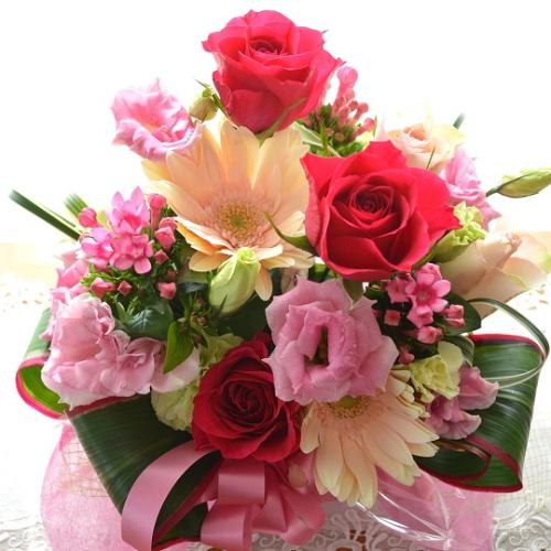 ��l�̃A�����W�@PinkTreasure�@(�o���ƃK�[�x���̃t�����[�A�����W�����g�j�s���N�n�@�a�����A�����L�O���A���j���A�h�V�̓�