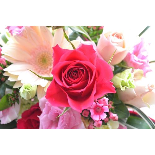 ��l�̃A�����W�@PinkTreasure�@(�o���ƃK�[�x���̃t�����[�A�����W�����g�j�s���N�n�@�a�����A�����L�O���A���j���A�h�V�̓�5