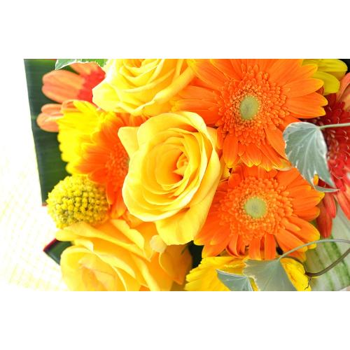 �L���[�g�ȃu�[�P�@YellowHarmony�@�i�o���̉ԑ��j�C�G���[�I�����W�n�@�a�����A�����L�O���A���j���A���ʁA���\��A�h�V�̓�3