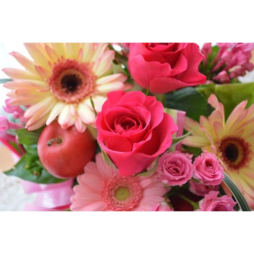 �L���[�g�ȃA�����W�@PinkRibbon�@(�o���ƃK�[�x���̃t�����[�A�����W�����g�j�@�s���N�n�@�a�����A�����L�O���A���j���A���\��A�R���T�[�g�A���C�u5