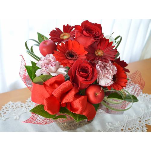 �v�`�ґ�ȃA�����W�@RedEye�@�i�o���ƃK�[�x���̃t�����[�A�����W�����g�j�Ԍn�@�a�����A�����L�O���A���j���A�h�V�̓�3