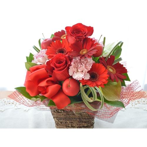 �v�`�ґ�ȃA�����W�@RedEye�@�i�o���ƃK�[�x���̃t�����[�A�����W�����g�j�Ԍn�@�a�����A�����L�O���A���j���A�h�V�̓�4