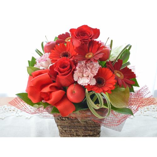 �v�`�ґ�ȃA�����W�@RedEye�@�i�o���ƃK�[�x���̃t�����[�A�����W�����g�j�Ԍn�@�a�����A�����L�O���A���j���A�h�V�̓�5