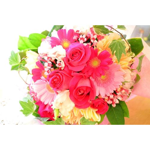 �������A���@�u�[�P�@LovelyPink�@�i�o���ƃK�[�x���̉ԑ��j�s���N�n�@�a�����A�����L�O���A���j���A�����}�i���ʁA���}�j�A�ސE�j���A���\��5