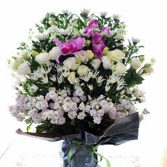 �������p�@�A�����W�����g�@�i��