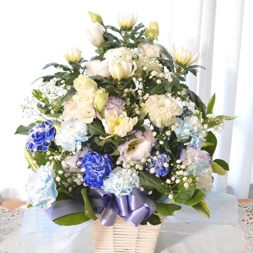 �������p�@�A�����W�����g�@�^�S�@�@�i�e�ƃg���R�L�L���E�̃t�����[�A�����W�����g�j���n�@�������A������݁A���~�A���ފ݁A�����A�@���A���ԁA���ʖ�A���ʎ�
